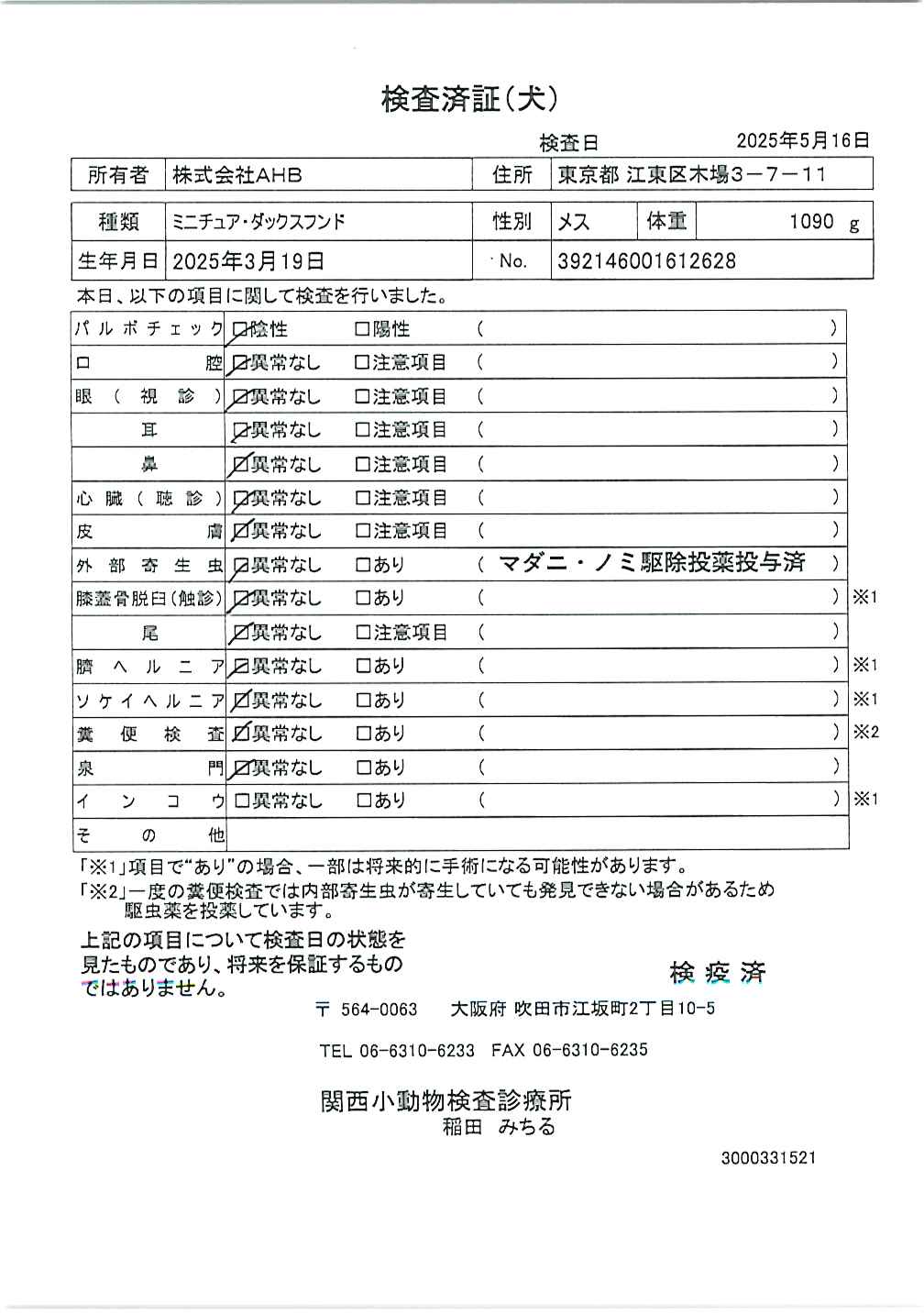 ミニチュア・ダックスフンド