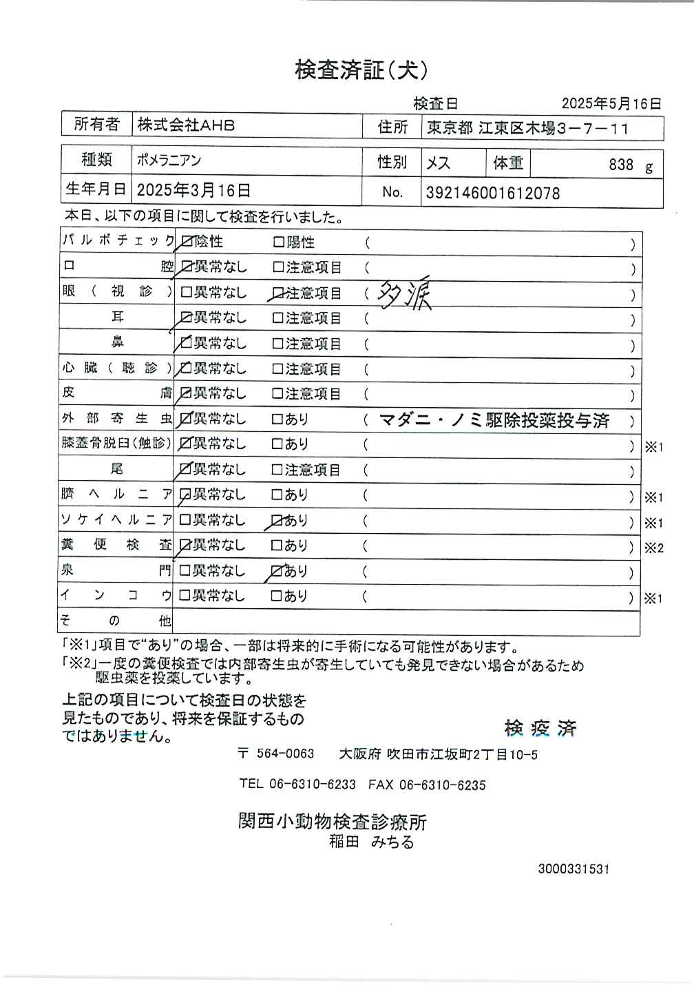 ポメラニアン