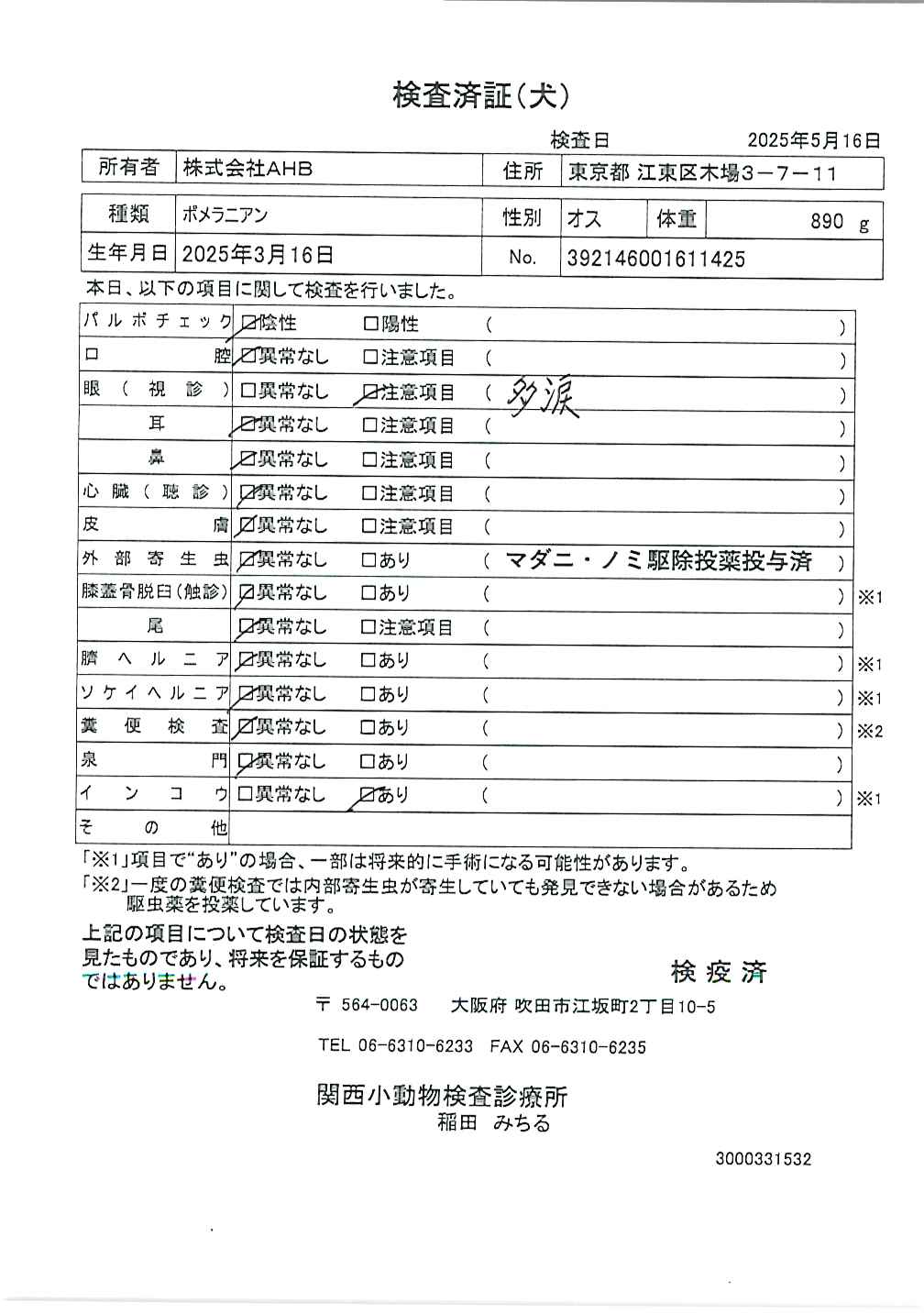 ポメラニアン