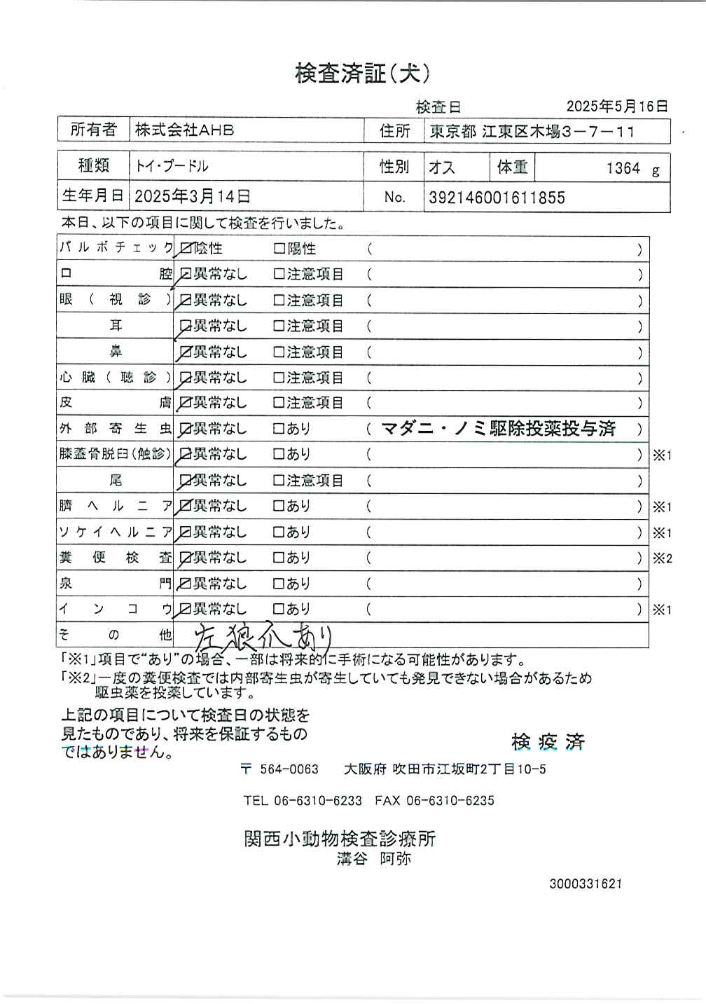 トイ・プードル