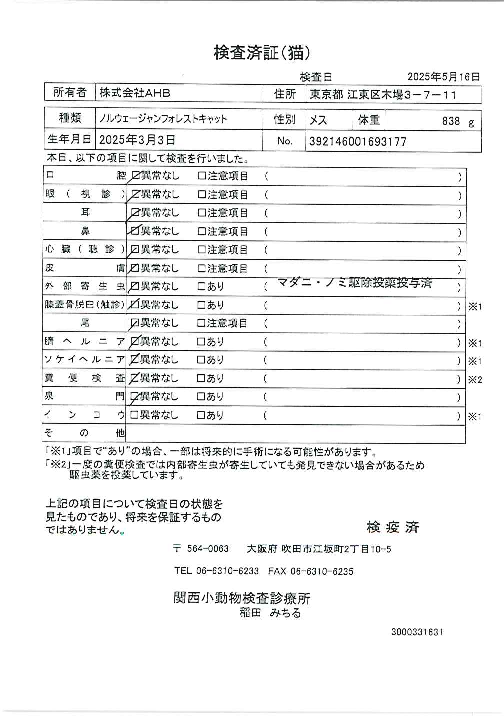 ノルウェージャンフォレストキャット