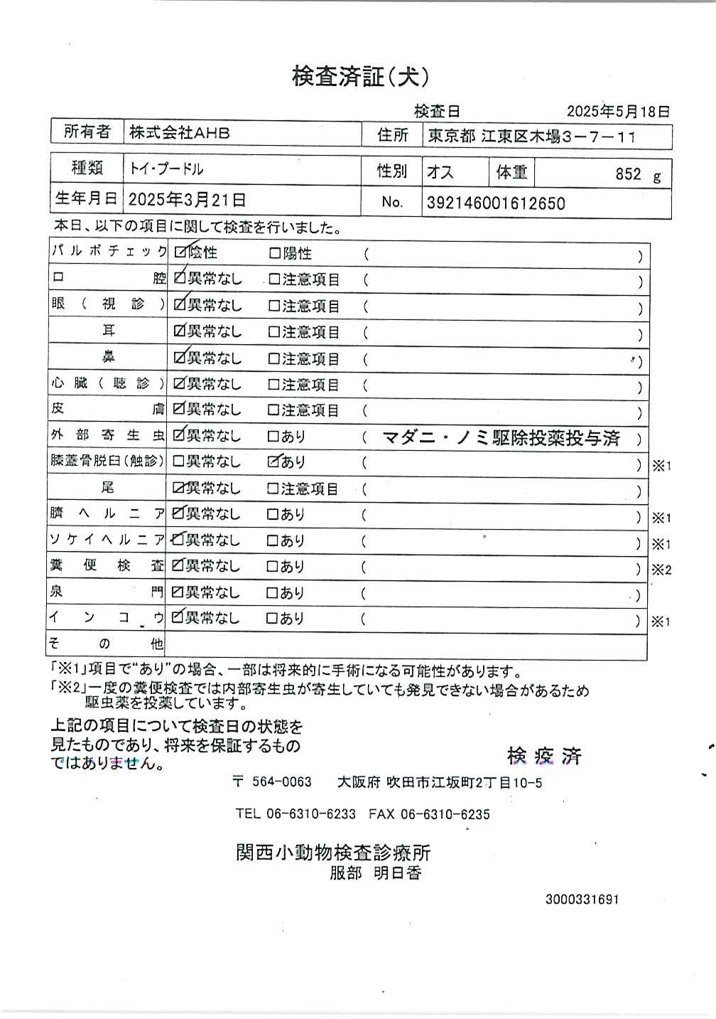 トイ・プードル
