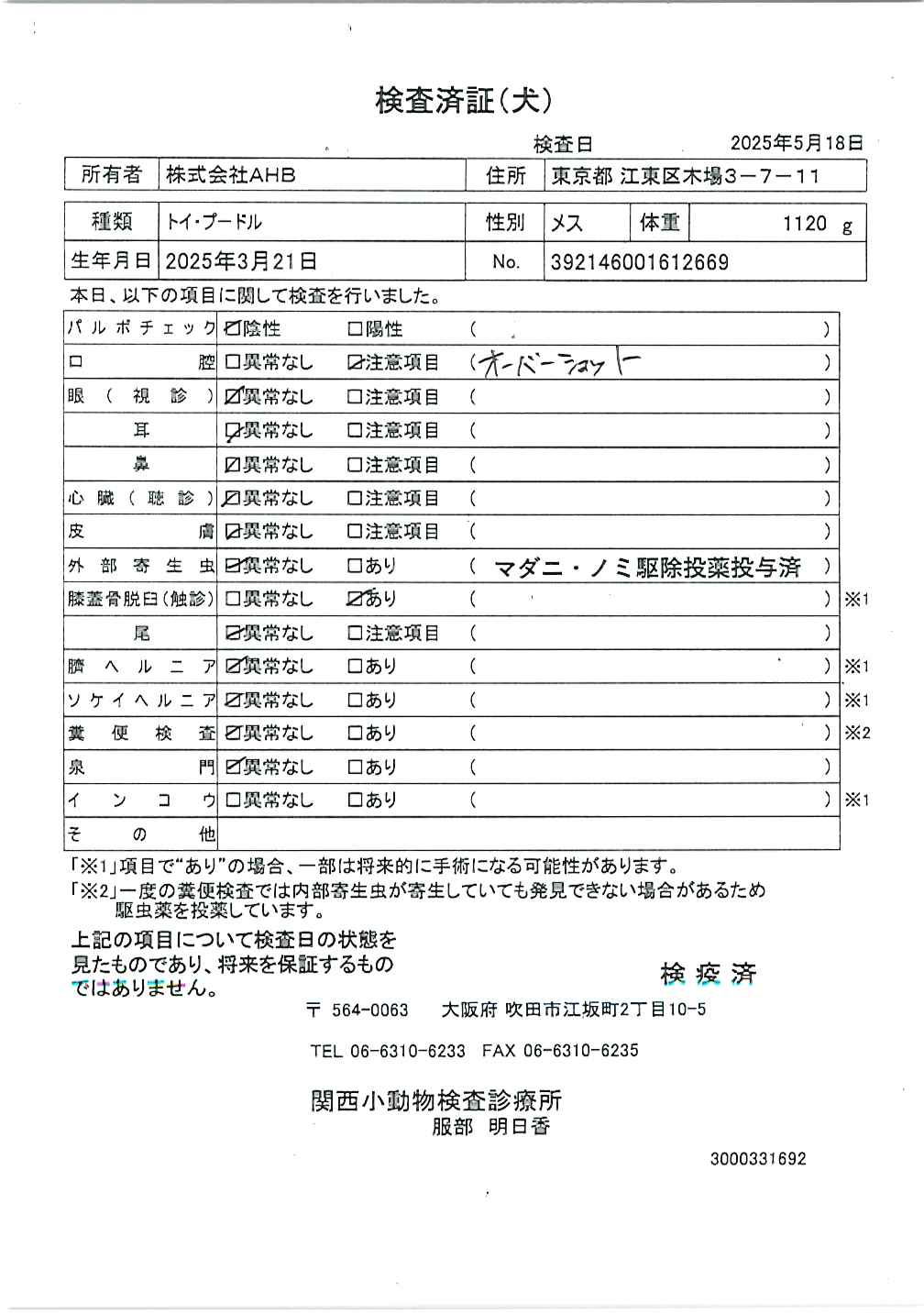 トイ・プードル