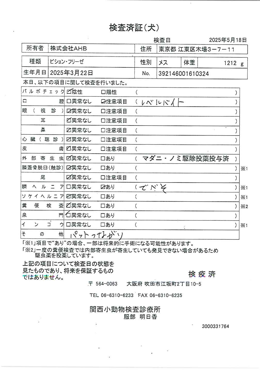 ビション・フリーゼ