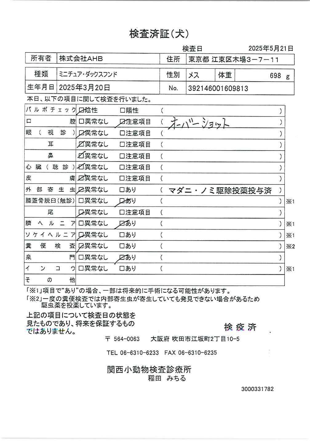 ミニチュア・ダックスフンド
