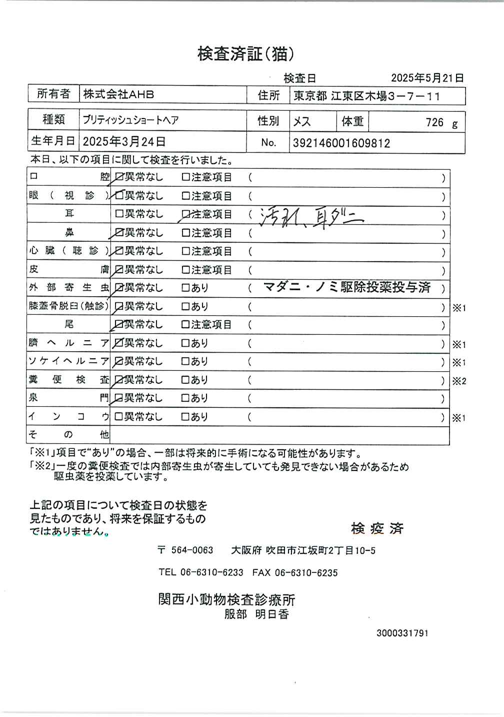 ブリティッシュショートヘア