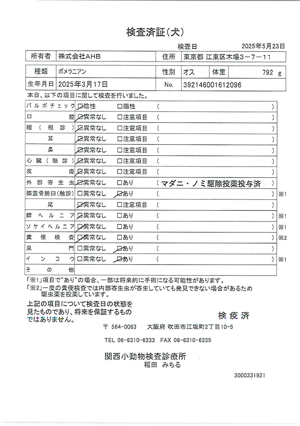 ポメラニアン