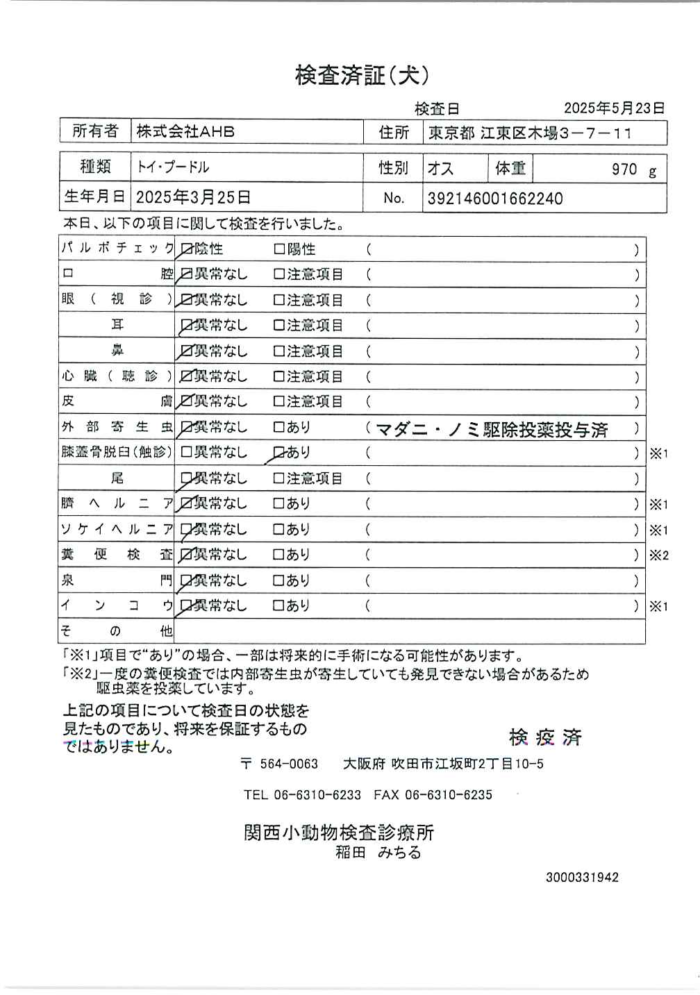 トイ・プードル