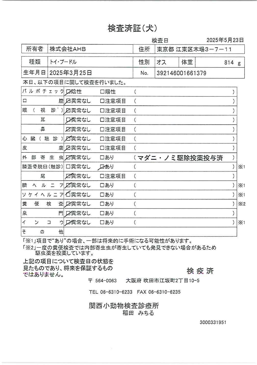 トイ・プードル