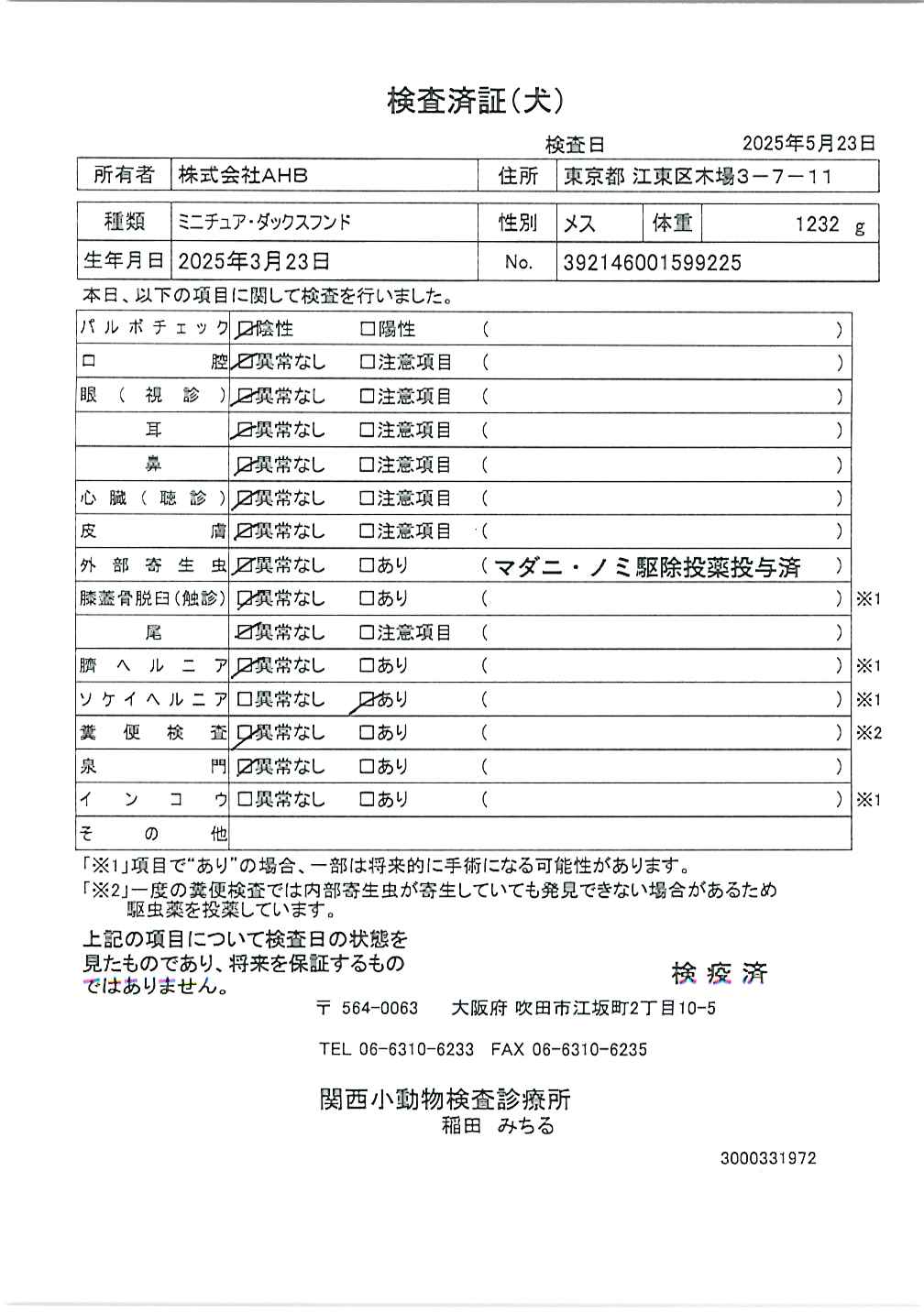 ミニチュア・ダックスフンド