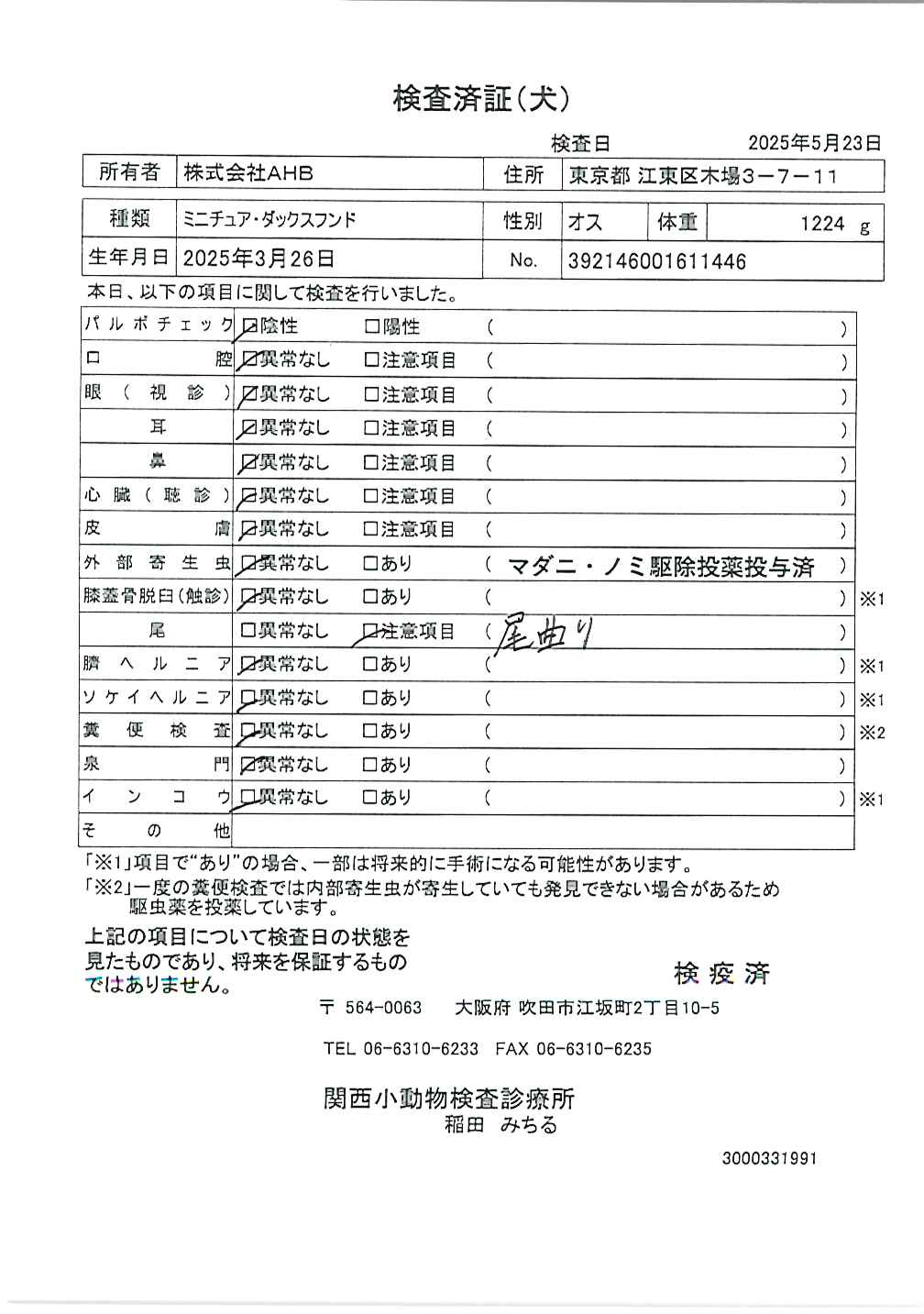 ミニチュア・ダックスフンド
