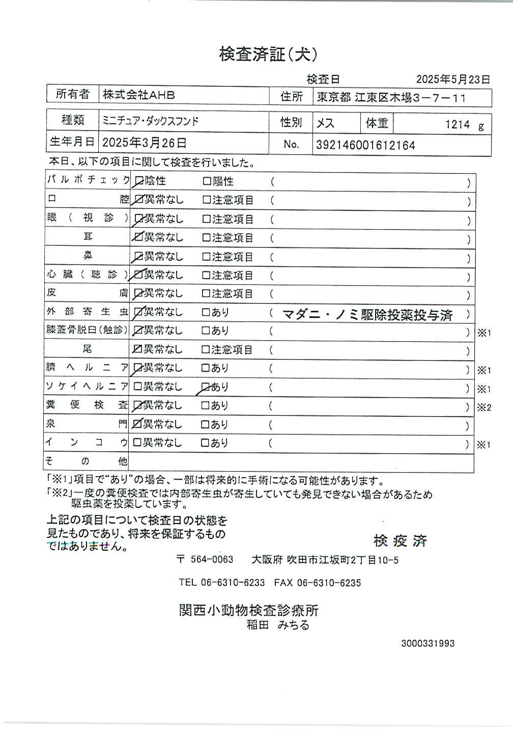 ミニチュア・ダックスフンド