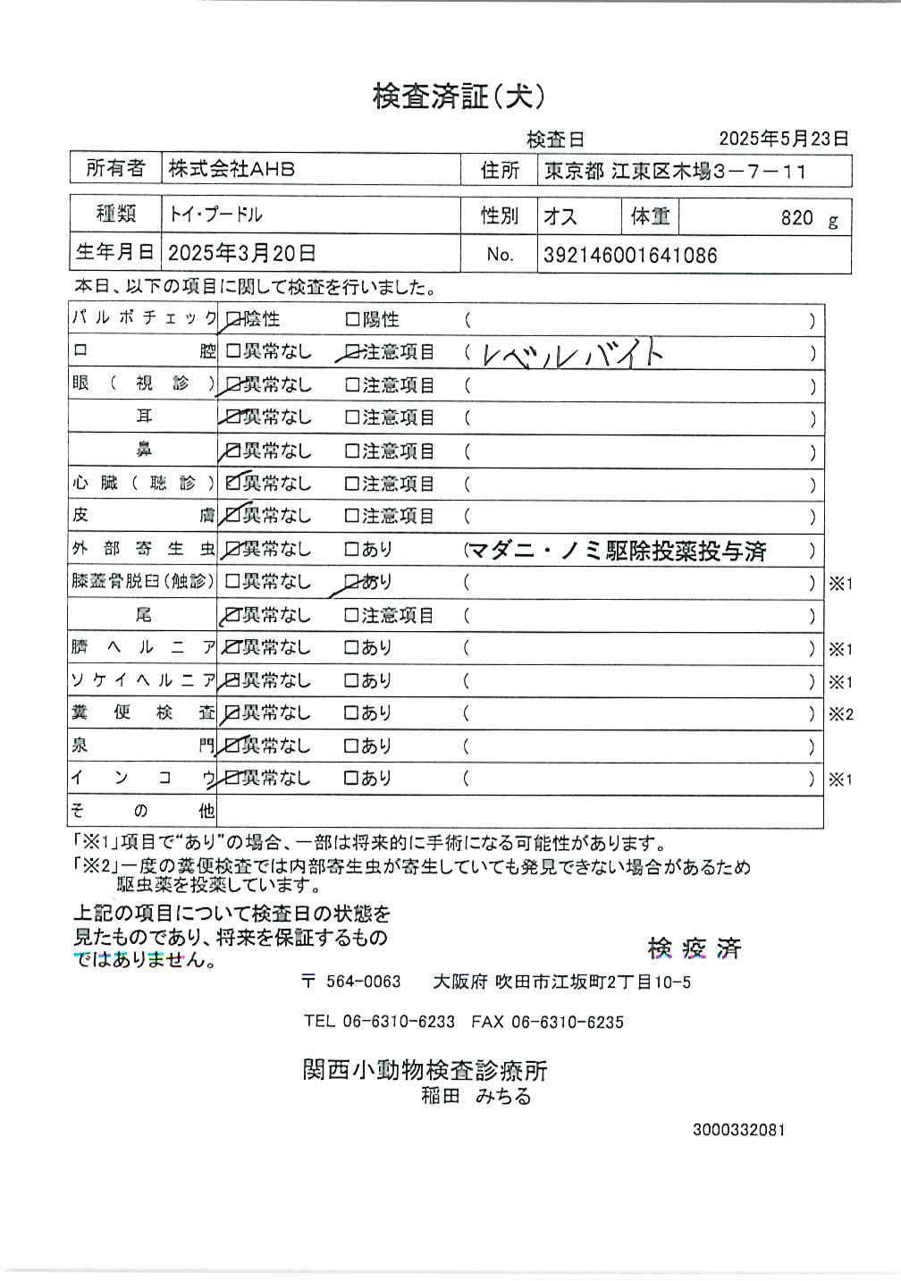 トイ・プードル