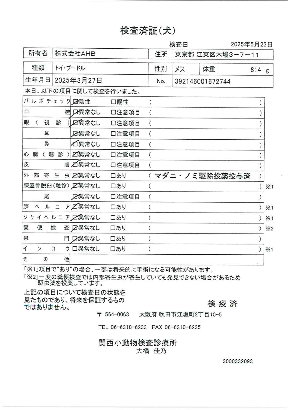 トイ・プードル