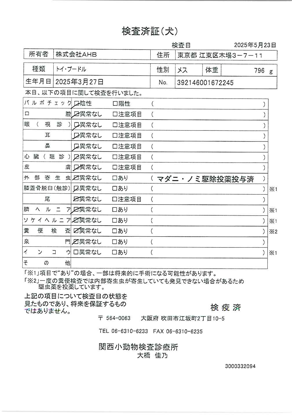 トイ・プードル