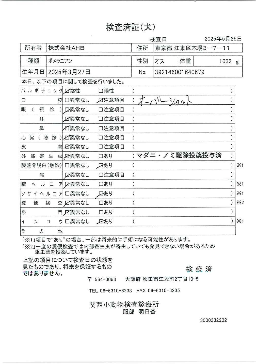 ポメラニアン
