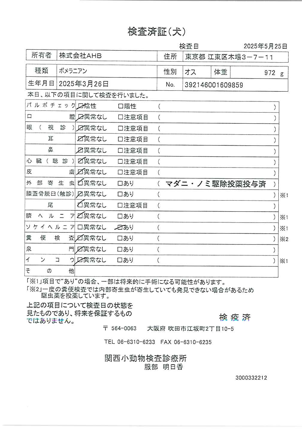ポメラニアン