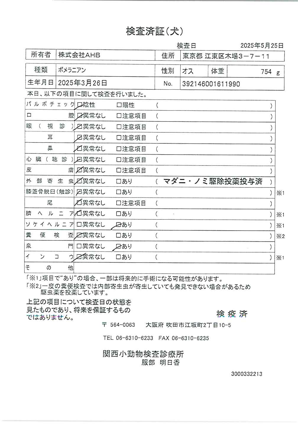 ポメラニアン