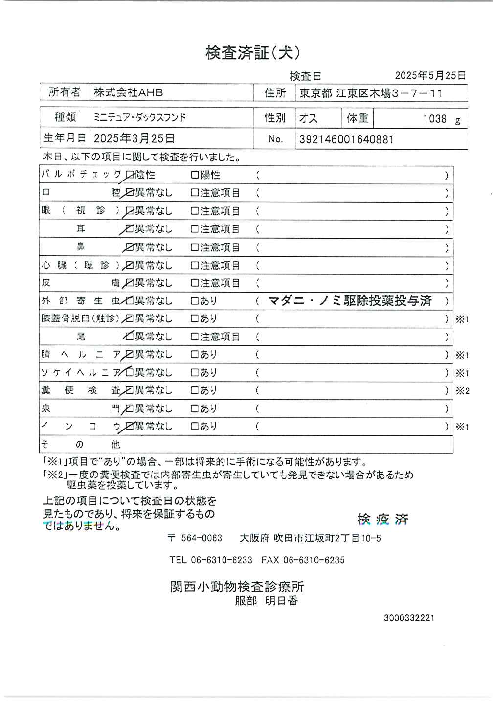 ミニチュア・ダックスフンド