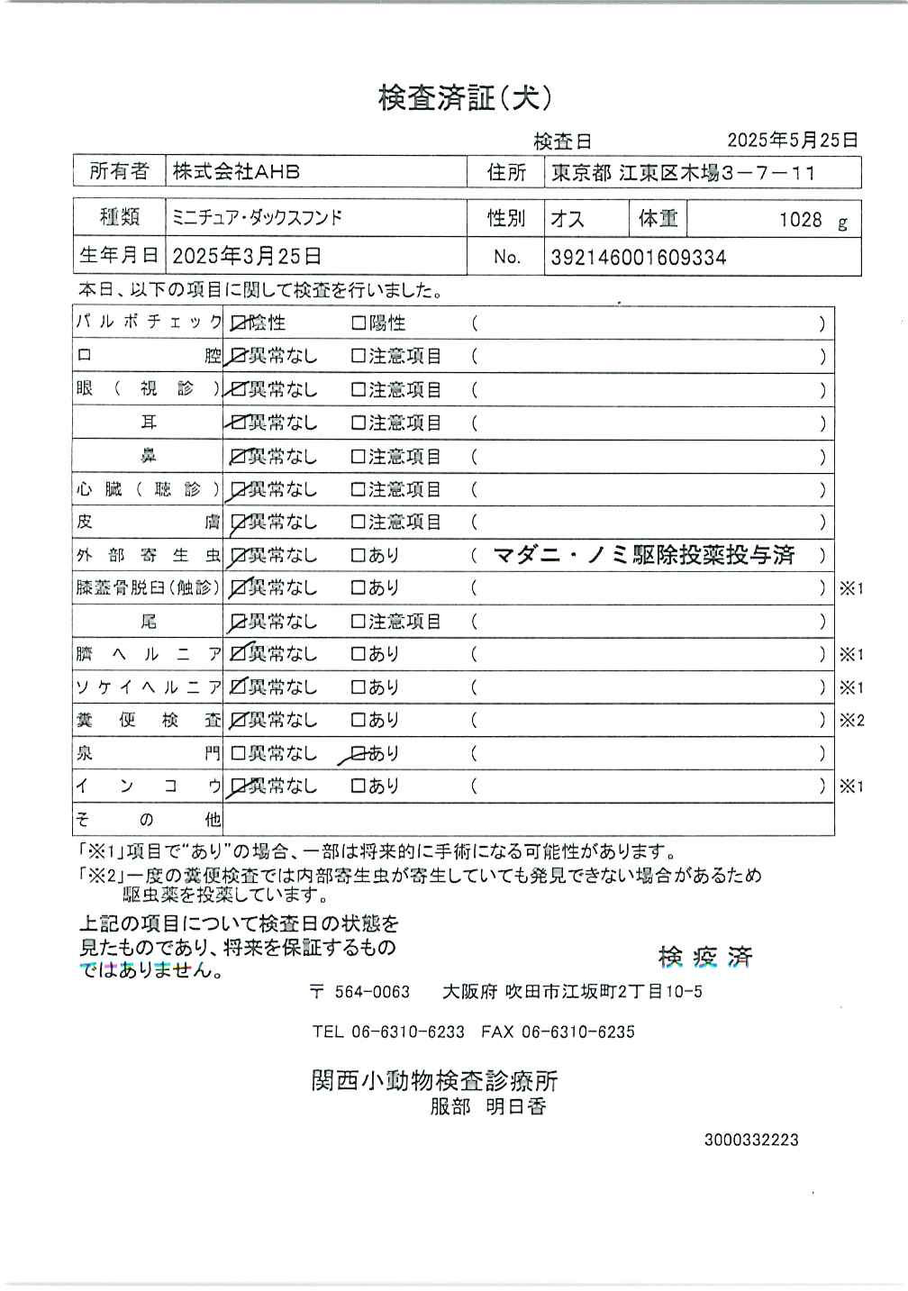 ミニチュア・ダックスフンド