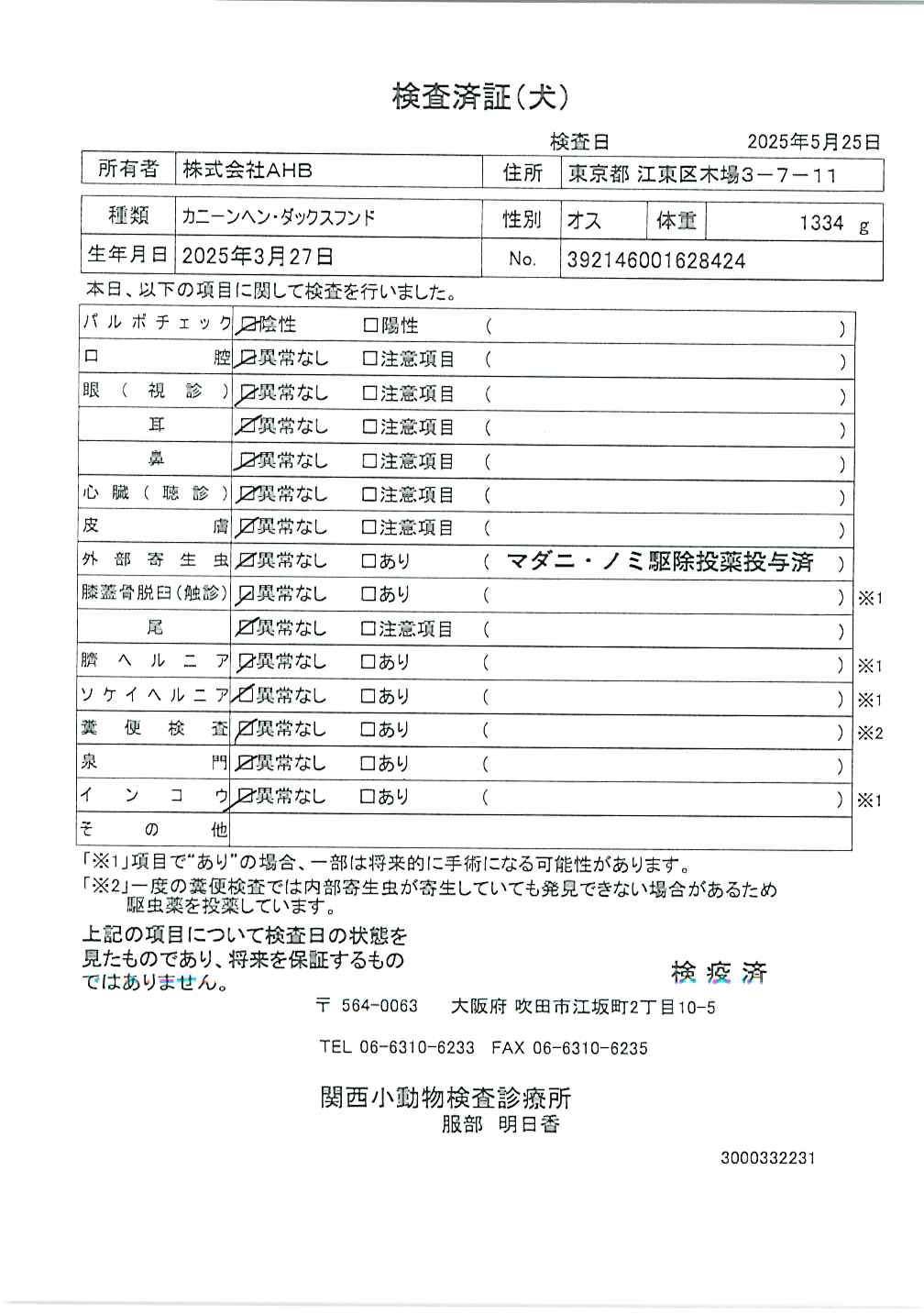 カニーンヘン・ダックスフンド