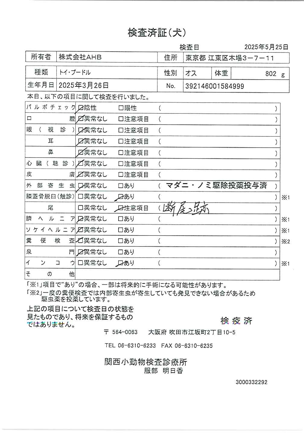 トイ・プードル