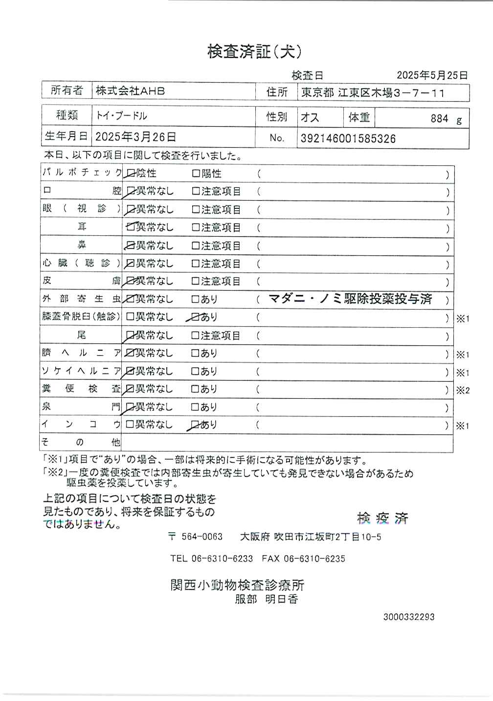 トイ・プードル
