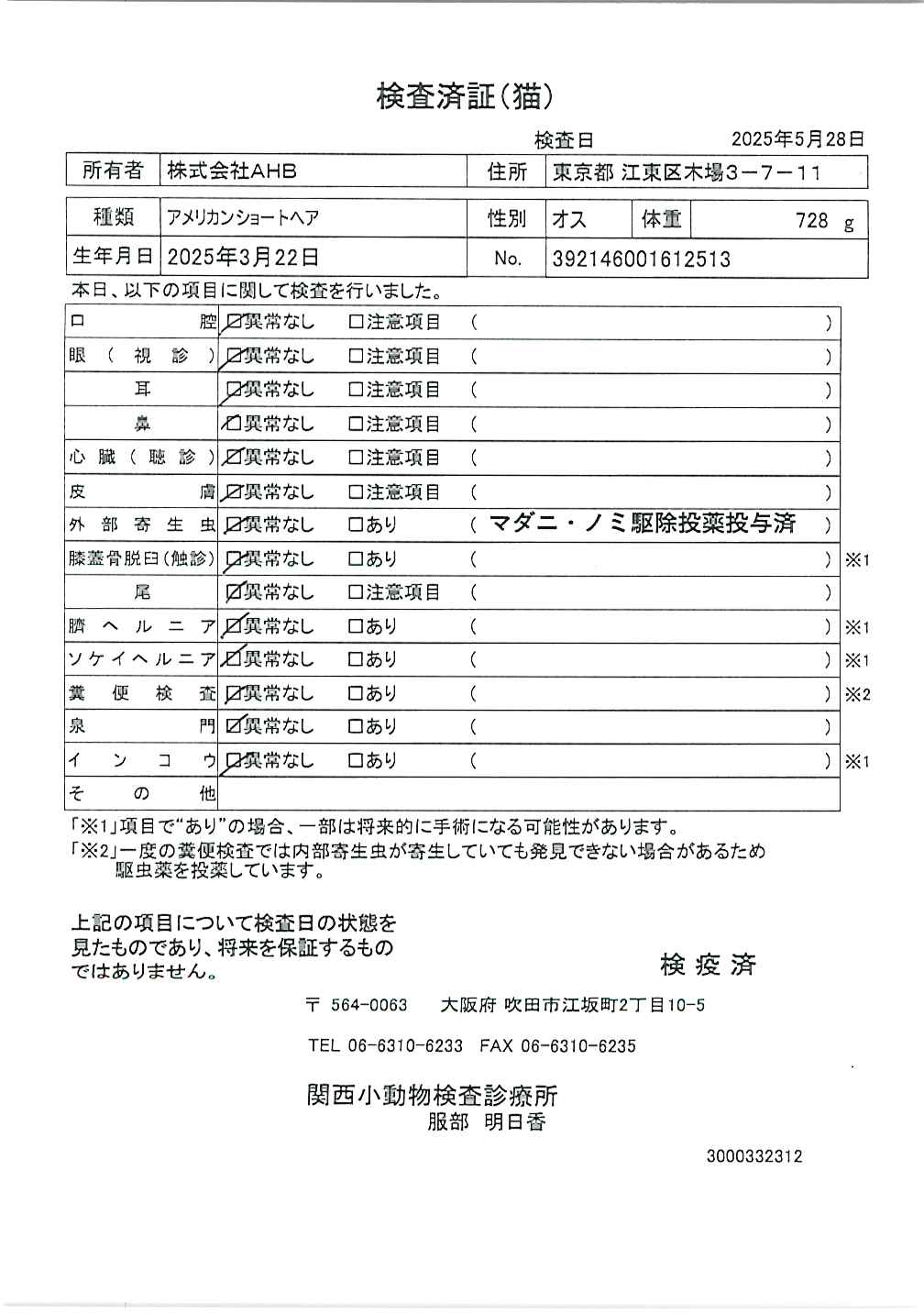 アメリカンショートヘア