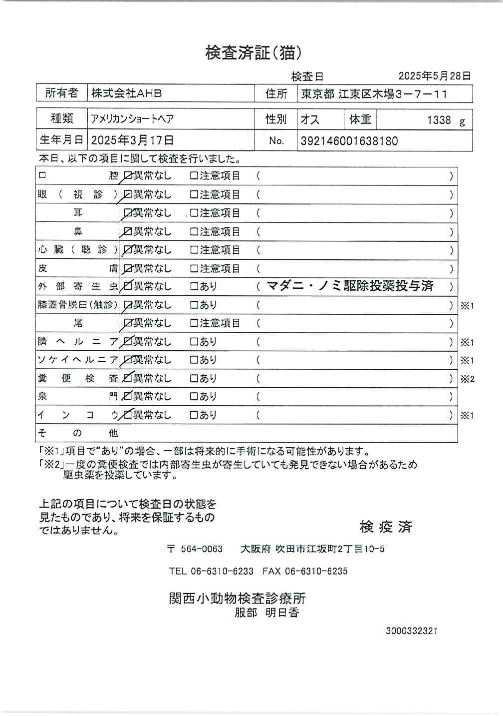 アメリカンショートヘア