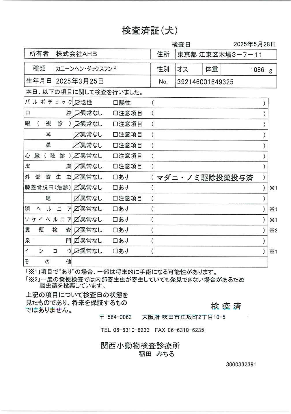 カニーンヘン・ダックスフンド