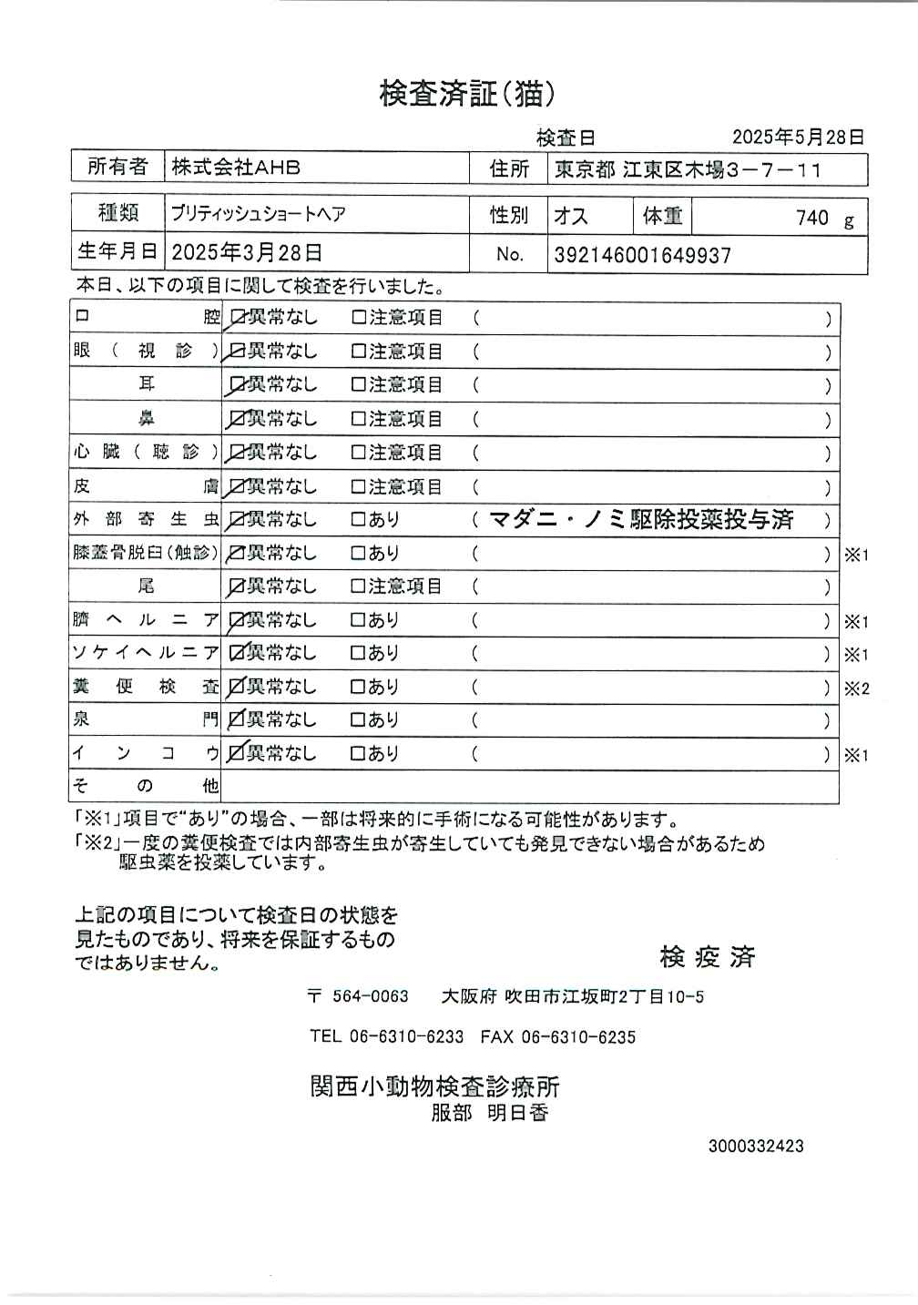 ブリティッシュショートヘア