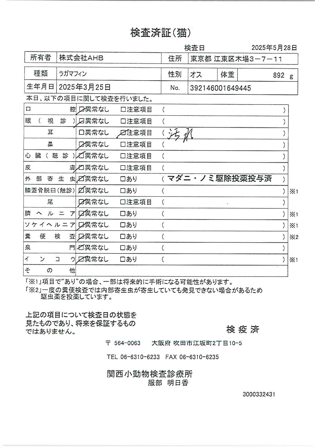 ラガマフィン