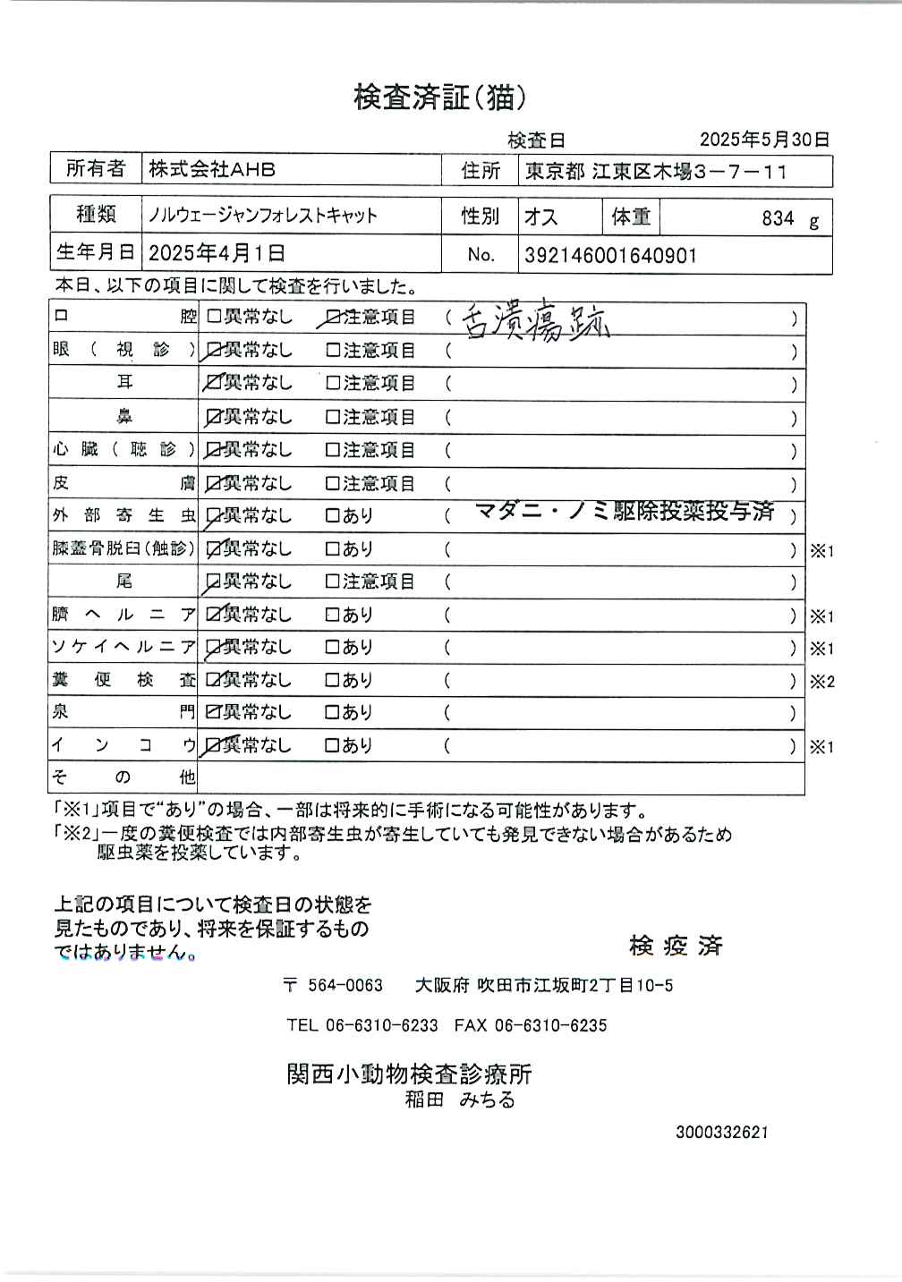 ノルウェージャンフォレストキャット