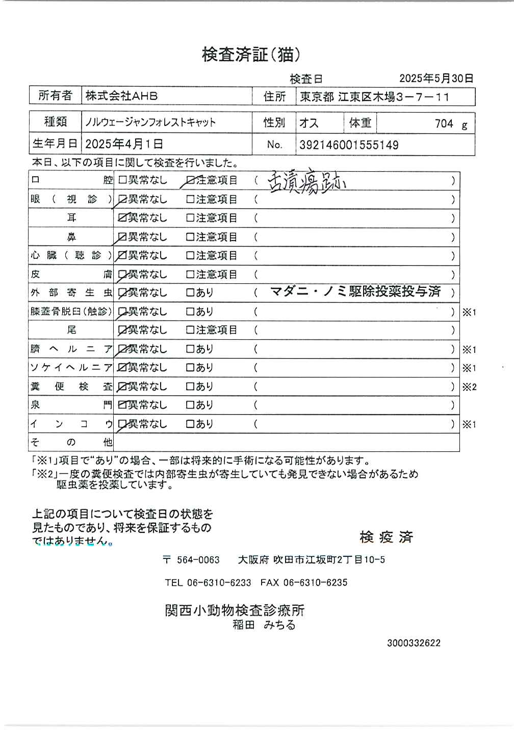 ノルウェージャンフォレストキャット