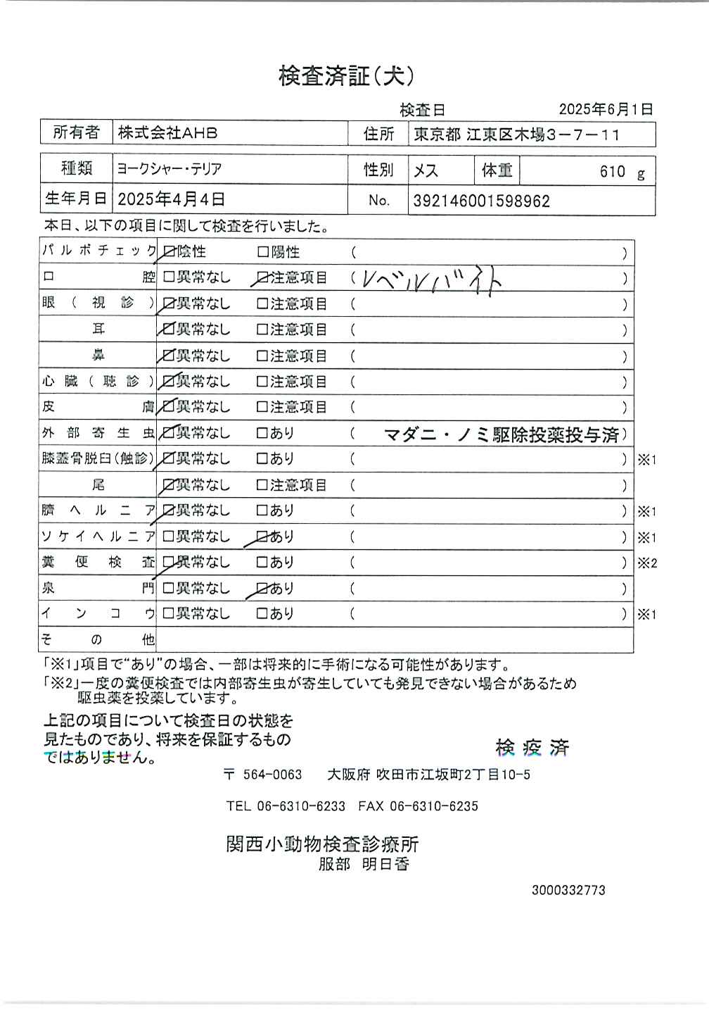 ヨークシャー・テリア