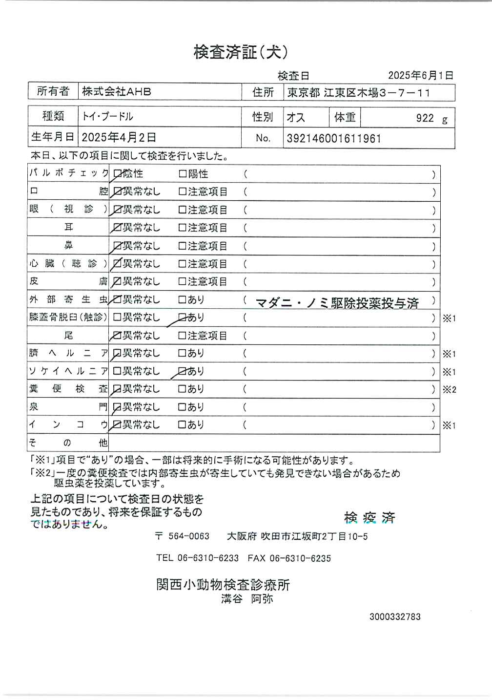 トイ・プードル