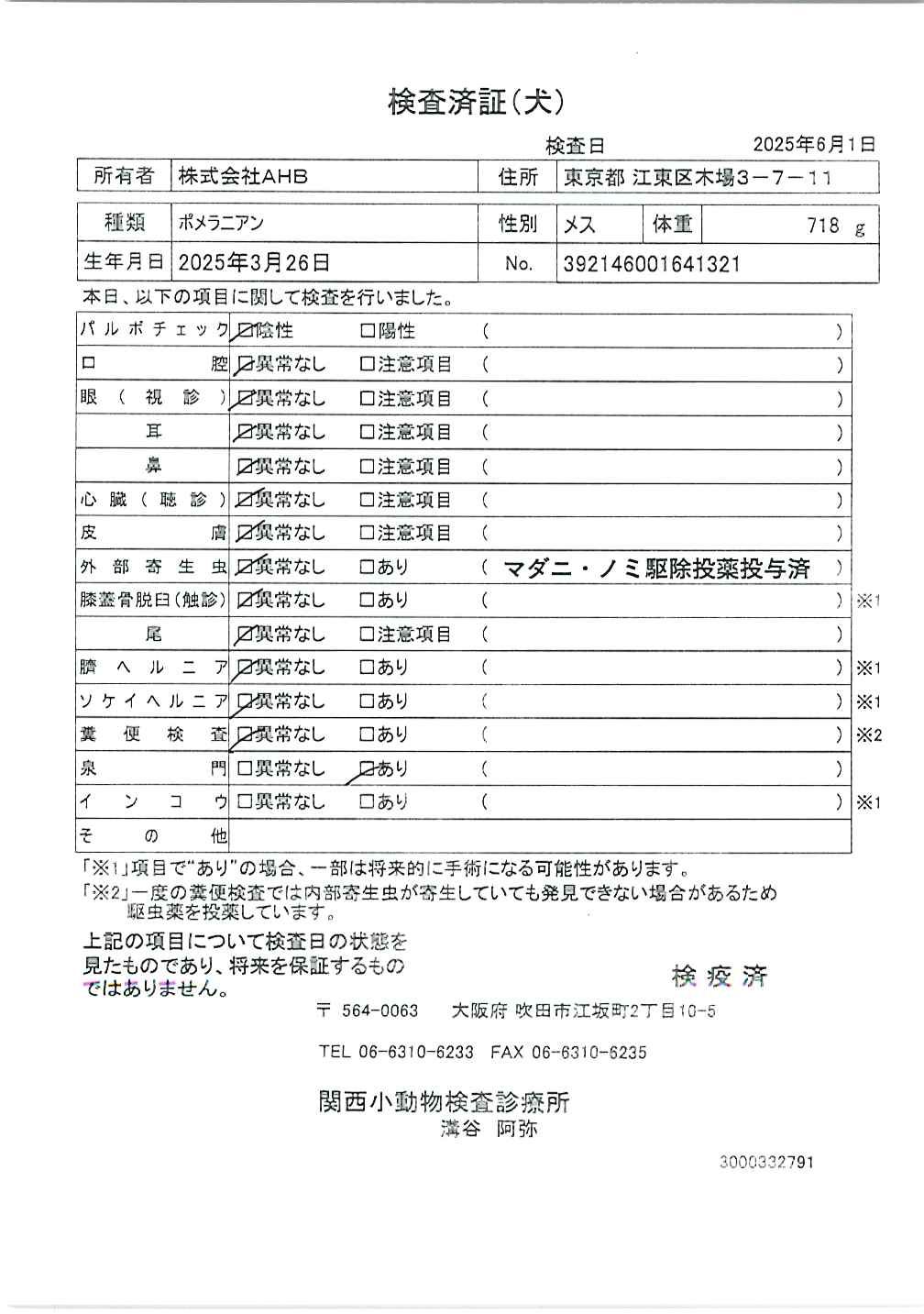 ポメラニアン