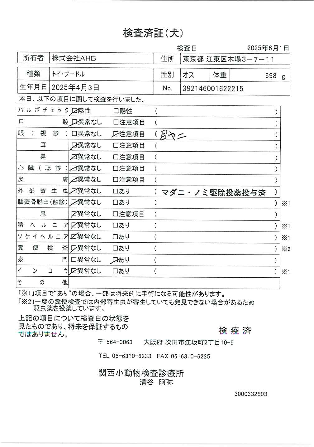 トイ・プードル