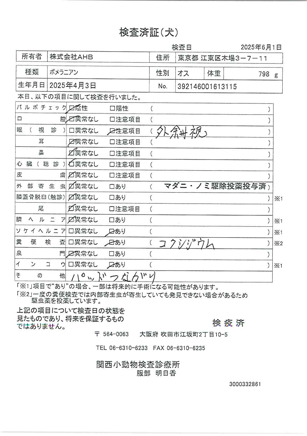 ポメラニアン