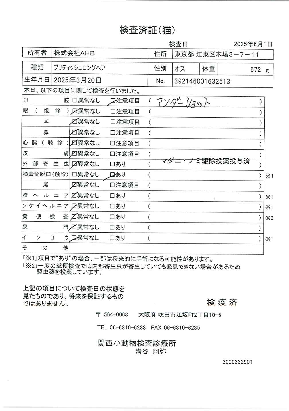 ブリティッシュロングヘア