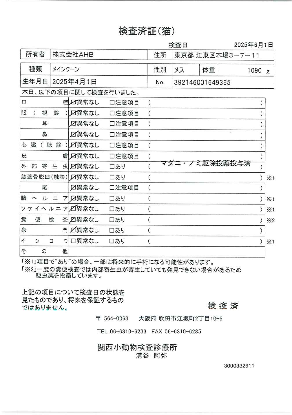 メインクーン