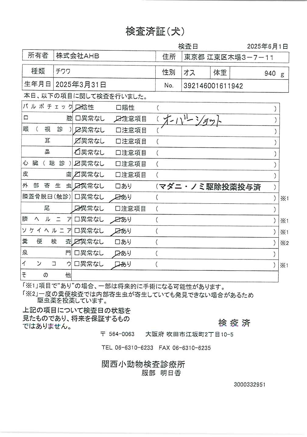チワワ