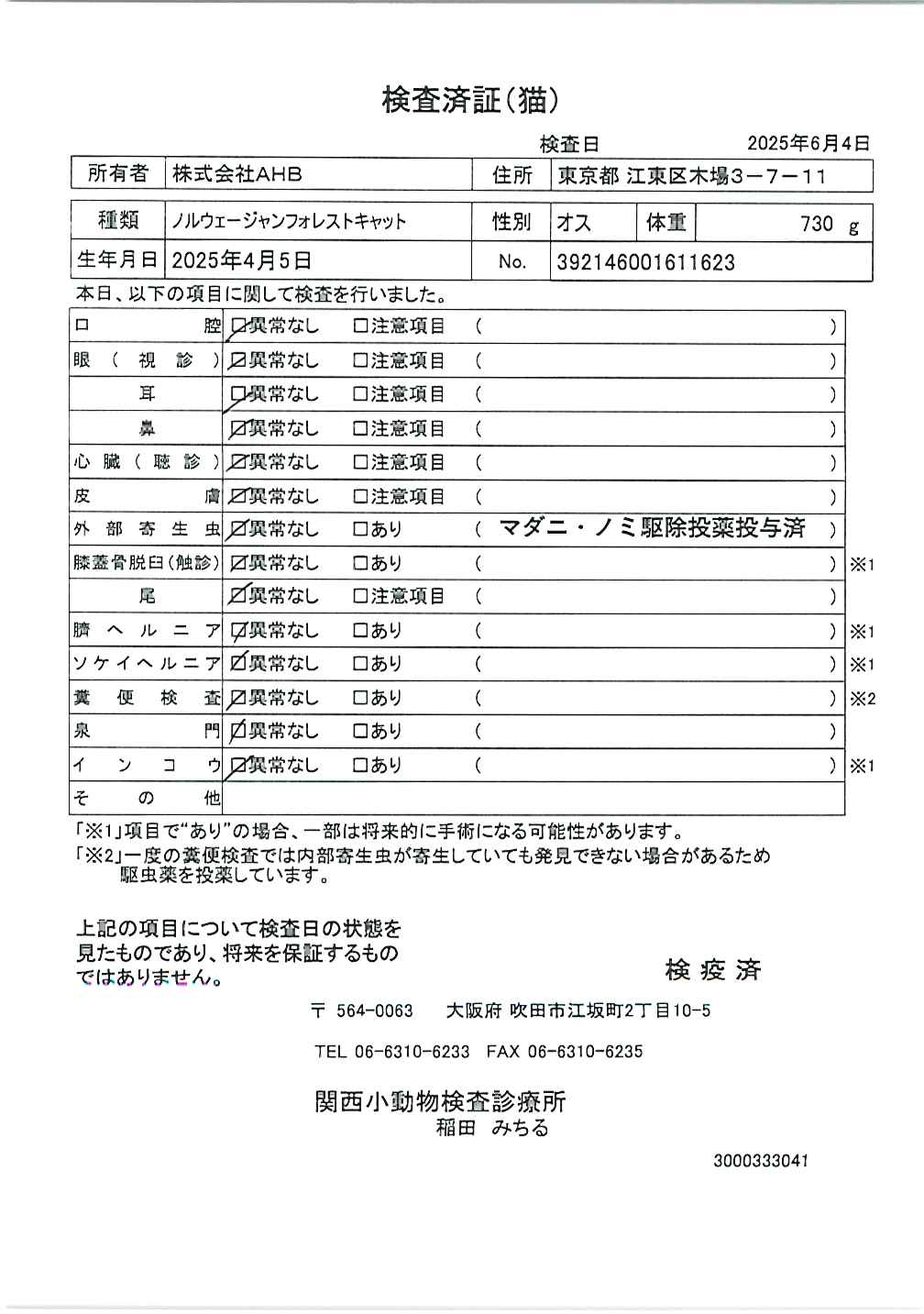 ノルウェージャンフォレストキャット