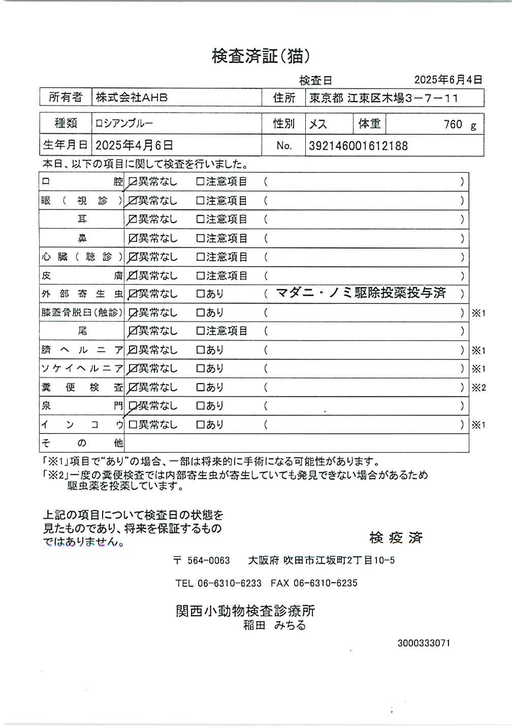 ロシアンブルー