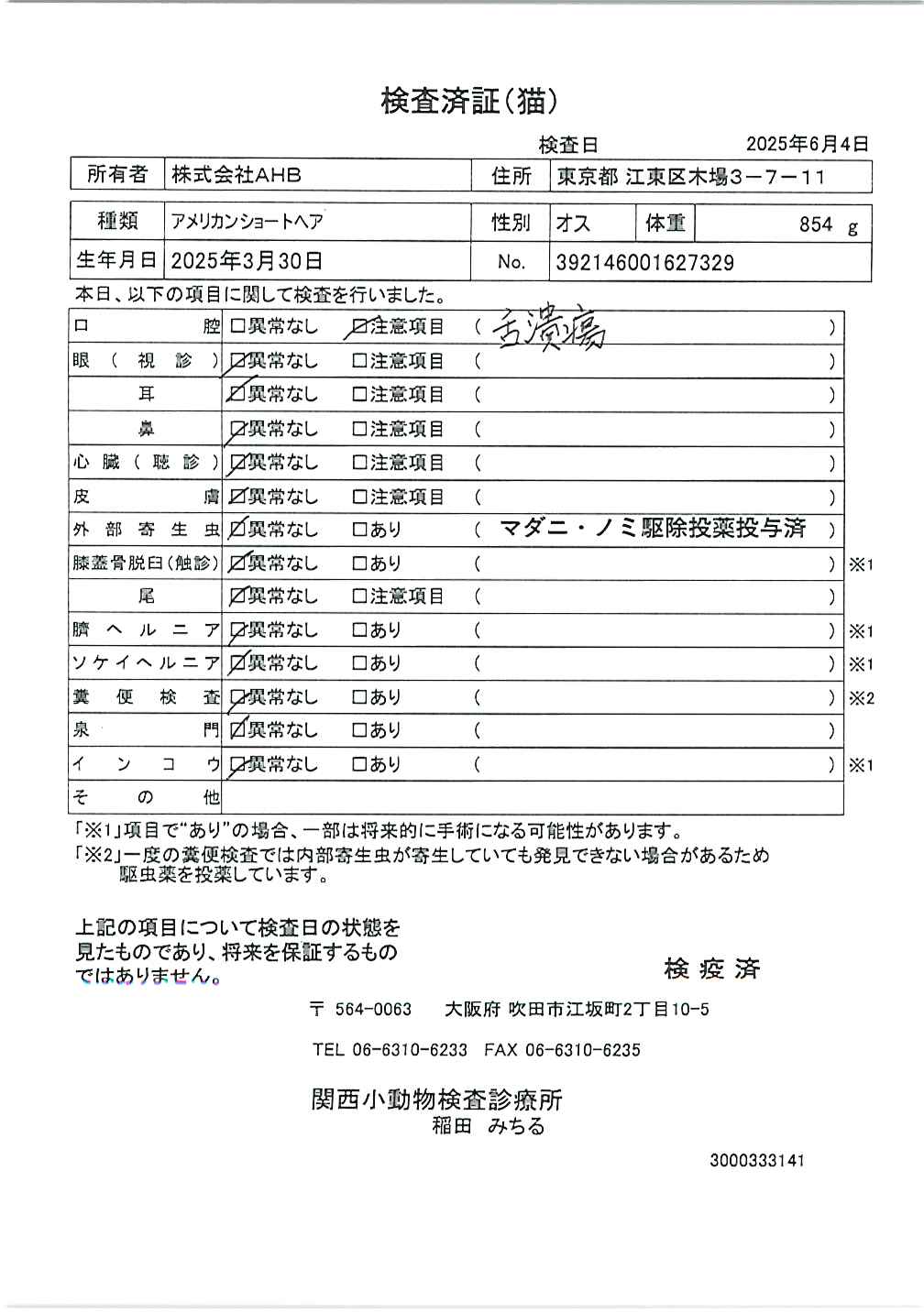 アメリカンショートヘア