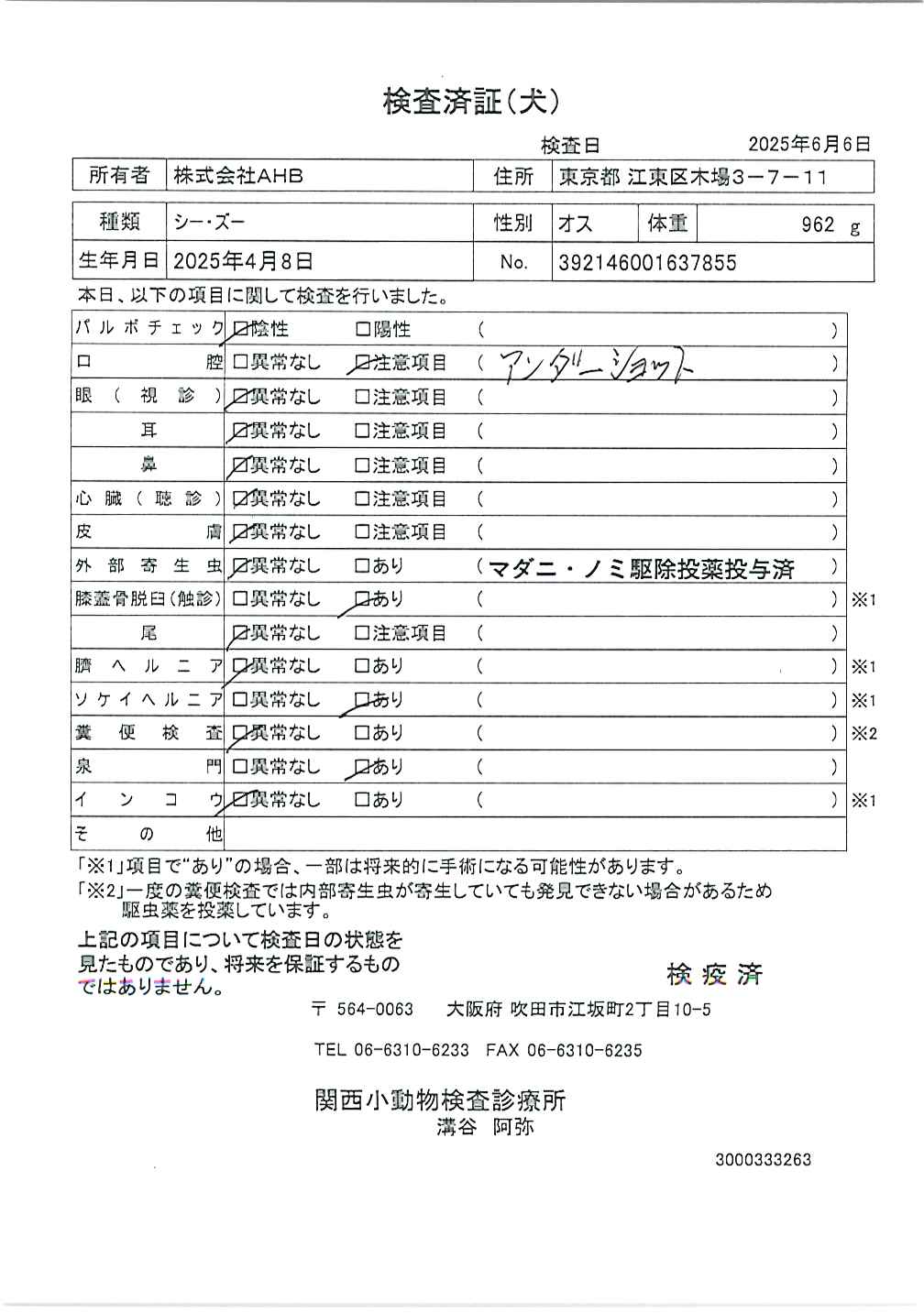 シー・ズー