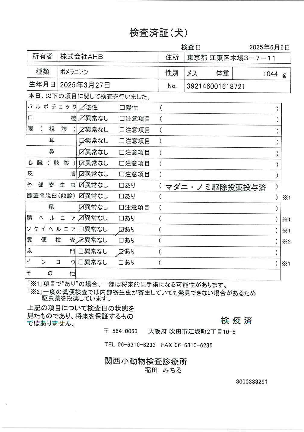 ポメラニアン