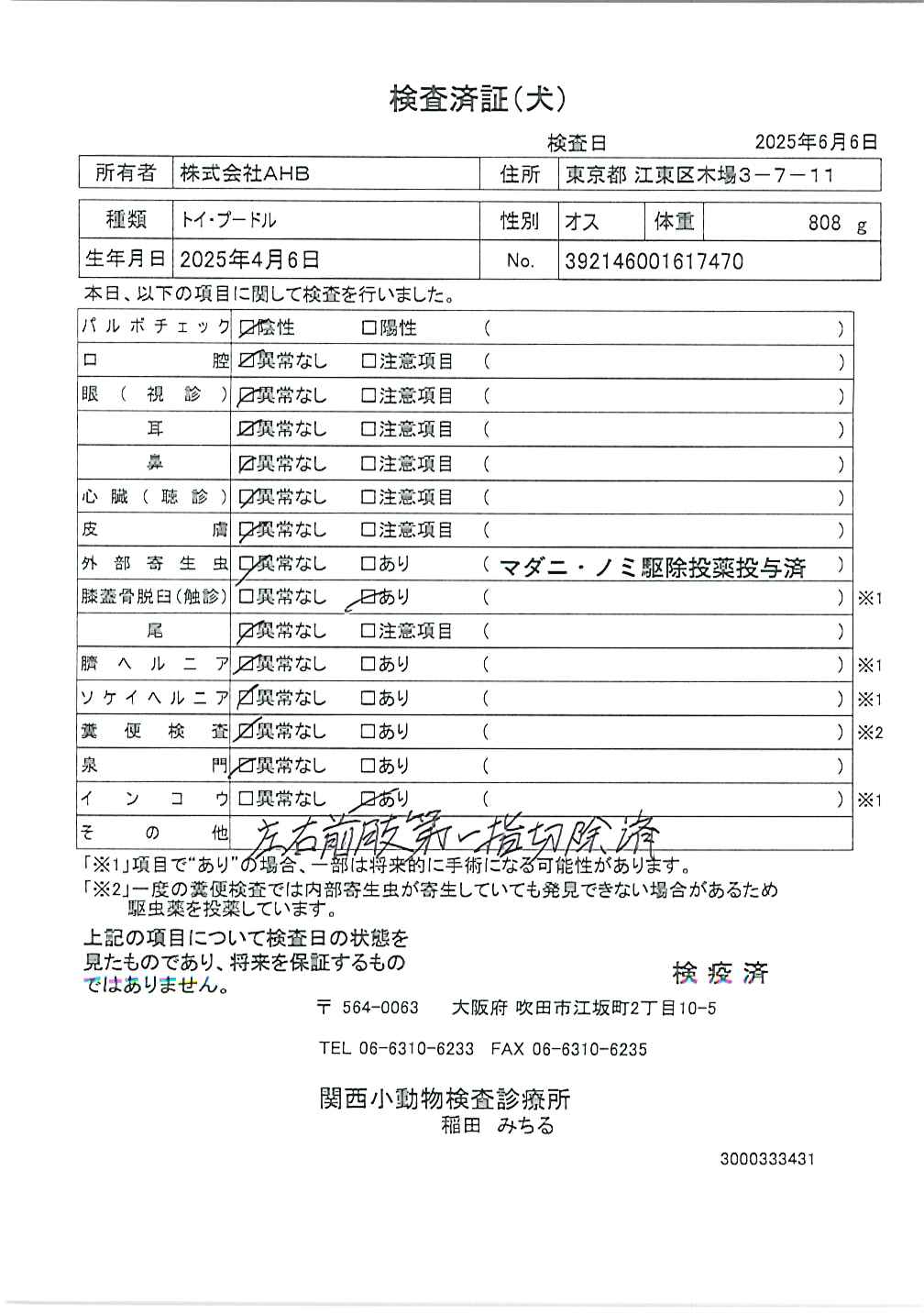 トイ・プードル