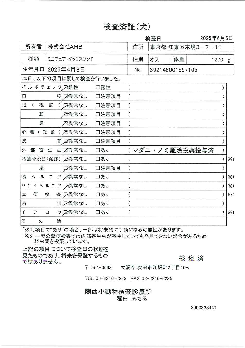 ミニチュア・ダックスフンド