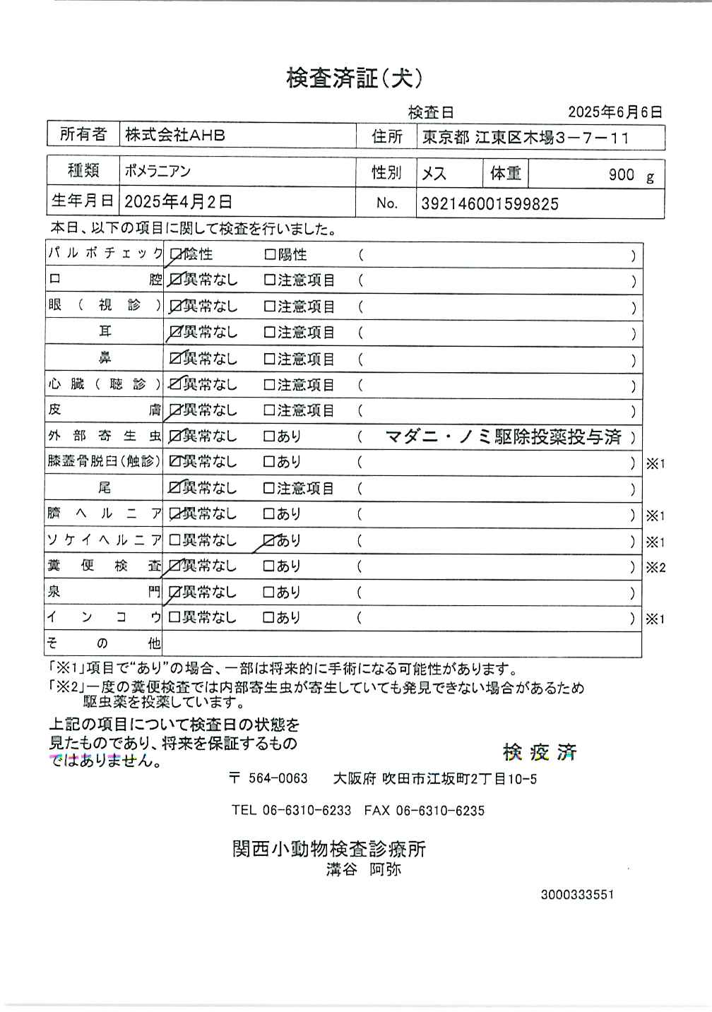 ポメラニアン